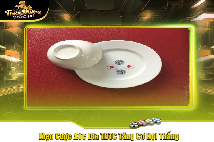 Mẹo Cược Xóc Đĩa TDTC Tăng Cơ Hội Thắng